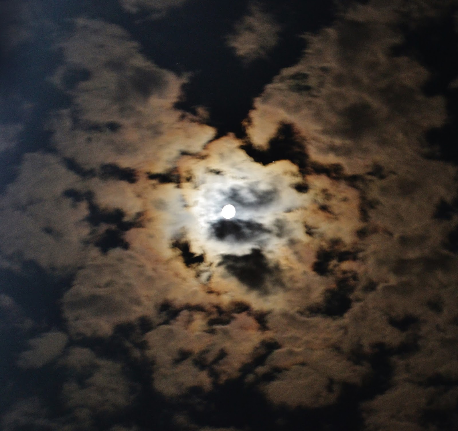 Ruh Müzem Temmuz 2013