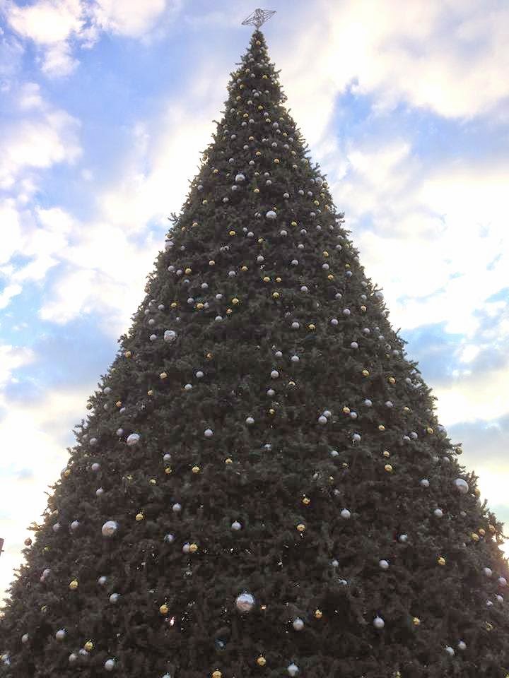 TexasSized Christmas Tree at Six Flags Fiesta Texas The Dias Family