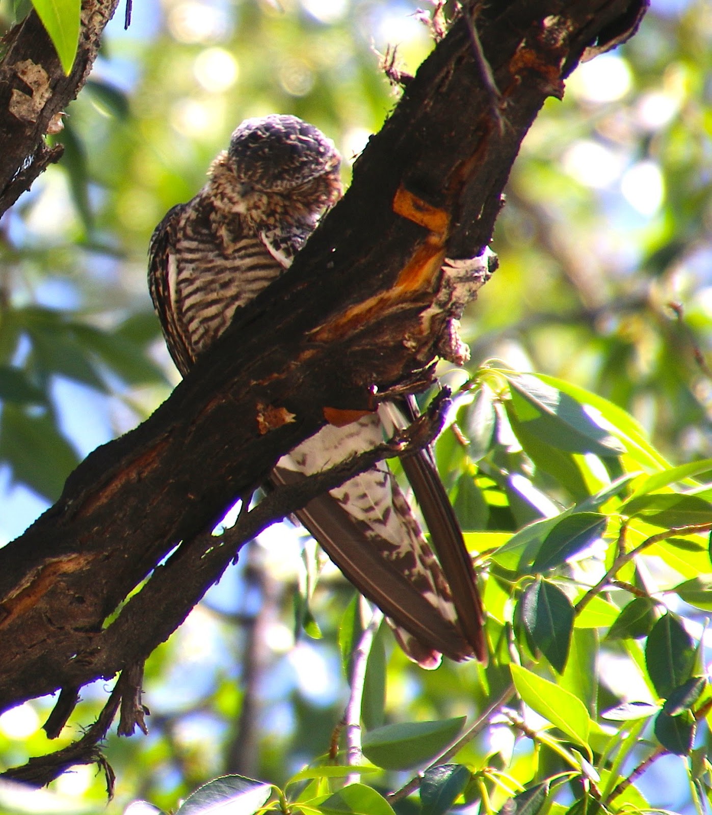 When To Use A Wifi Extender At The Rv Park Rv Living Mobilerving Blogs