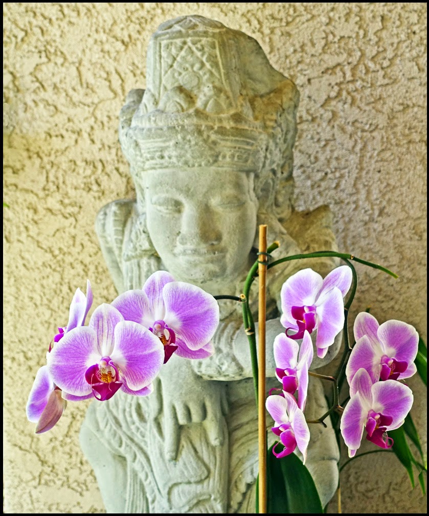 Posted by Jerral Miles at 323 PM No comments