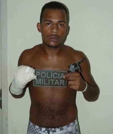 Mulheres Fudendo Com Cavalos