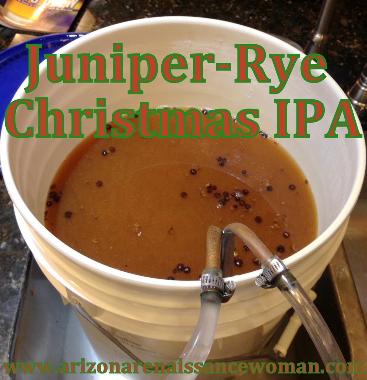 Arizona Renaissance Woman JuniperRye Christmas IPA