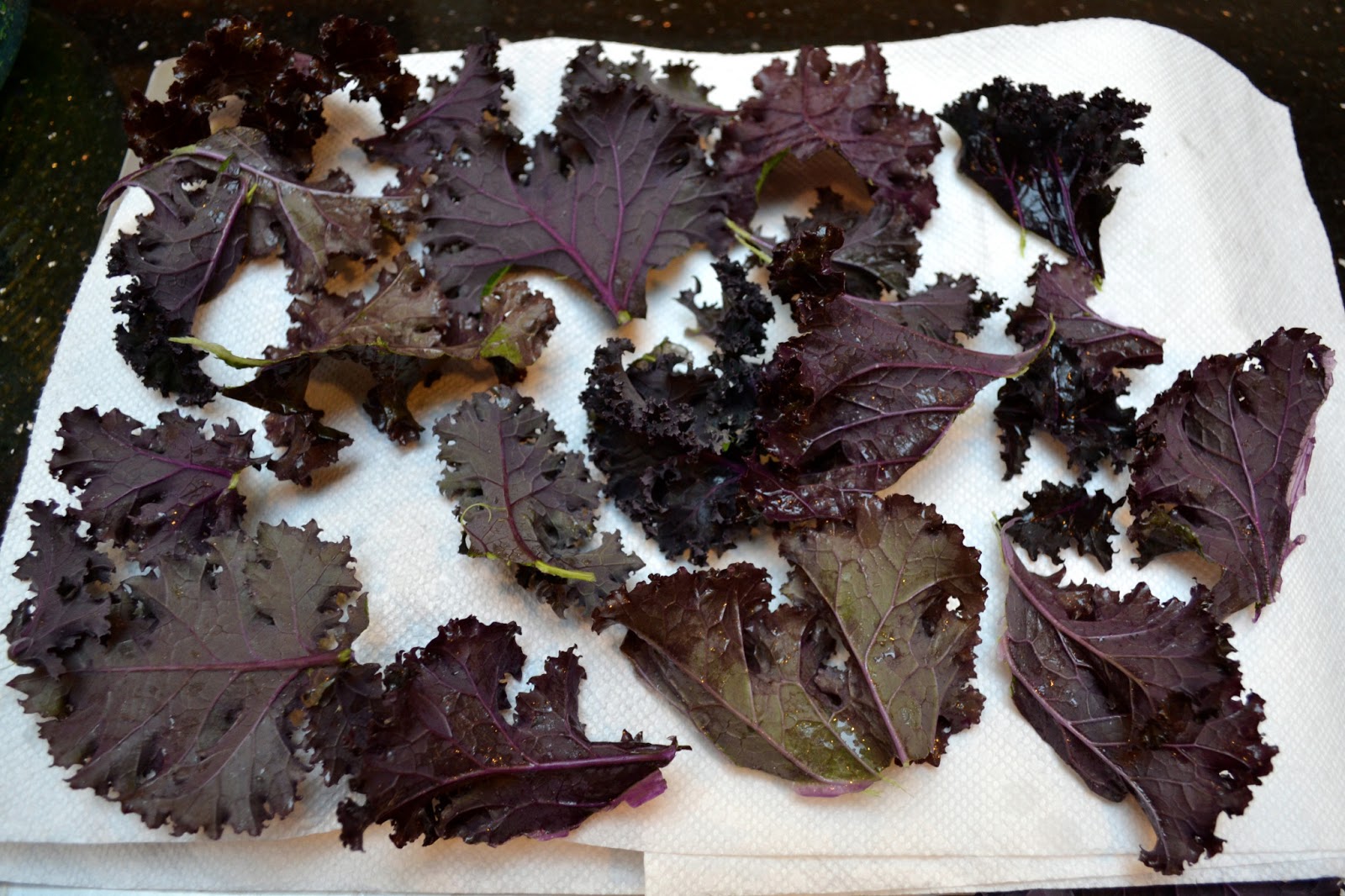 Growing Days Kale Fail.