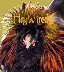 Haywired