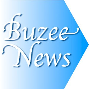 BuzeeNews