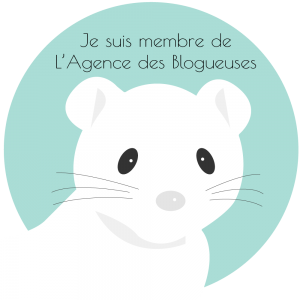 Agence des blogueuses