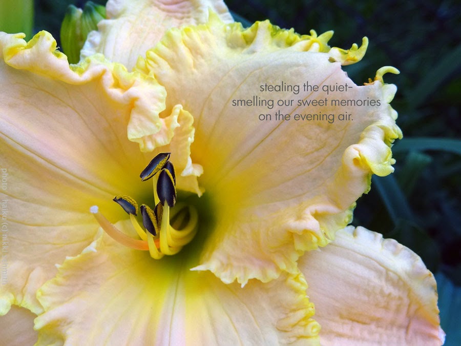 Crickets Katydids And Croaking Daylily Blog About This Time