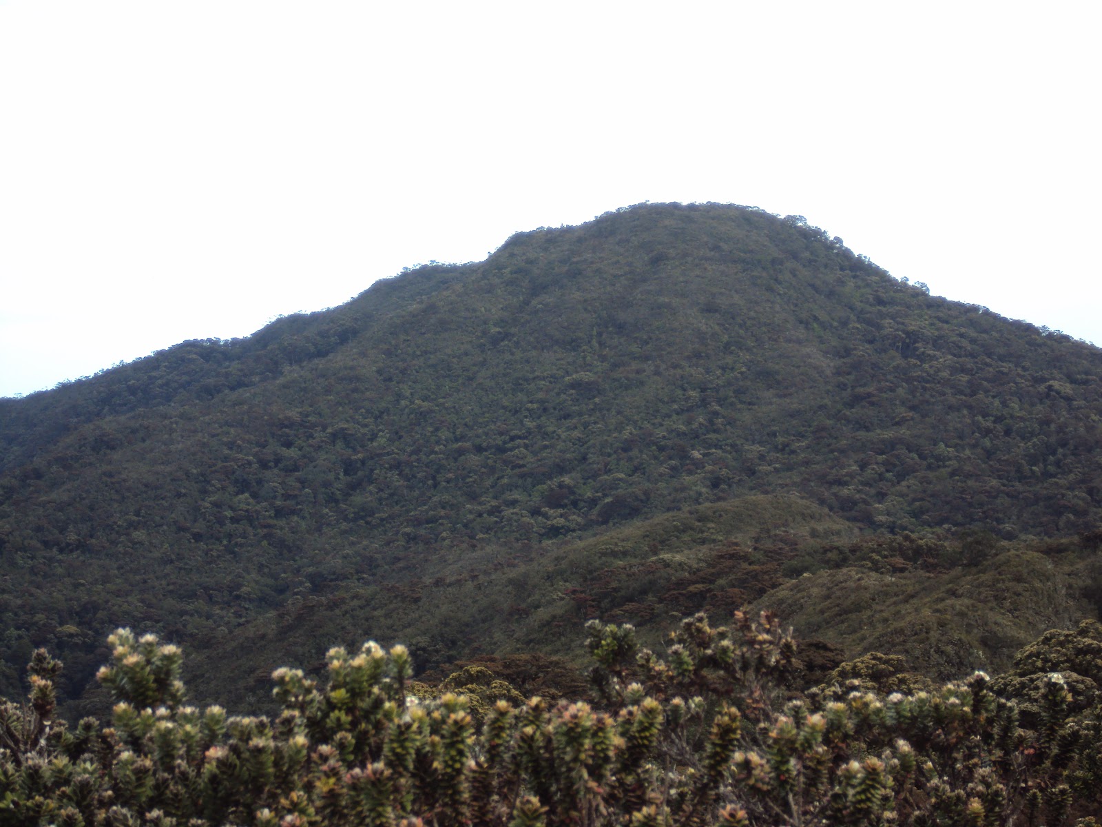 JELATANG NUSANTARA: Gunung Balease 2894 Mdpl
