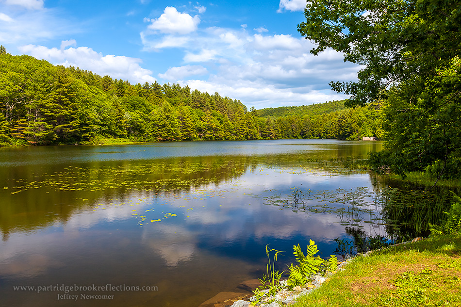 Getting it Right in the Digital Camera Newfane Vermont Album