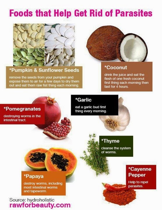 Health & nutrition tips Foods that help get rid of parasites