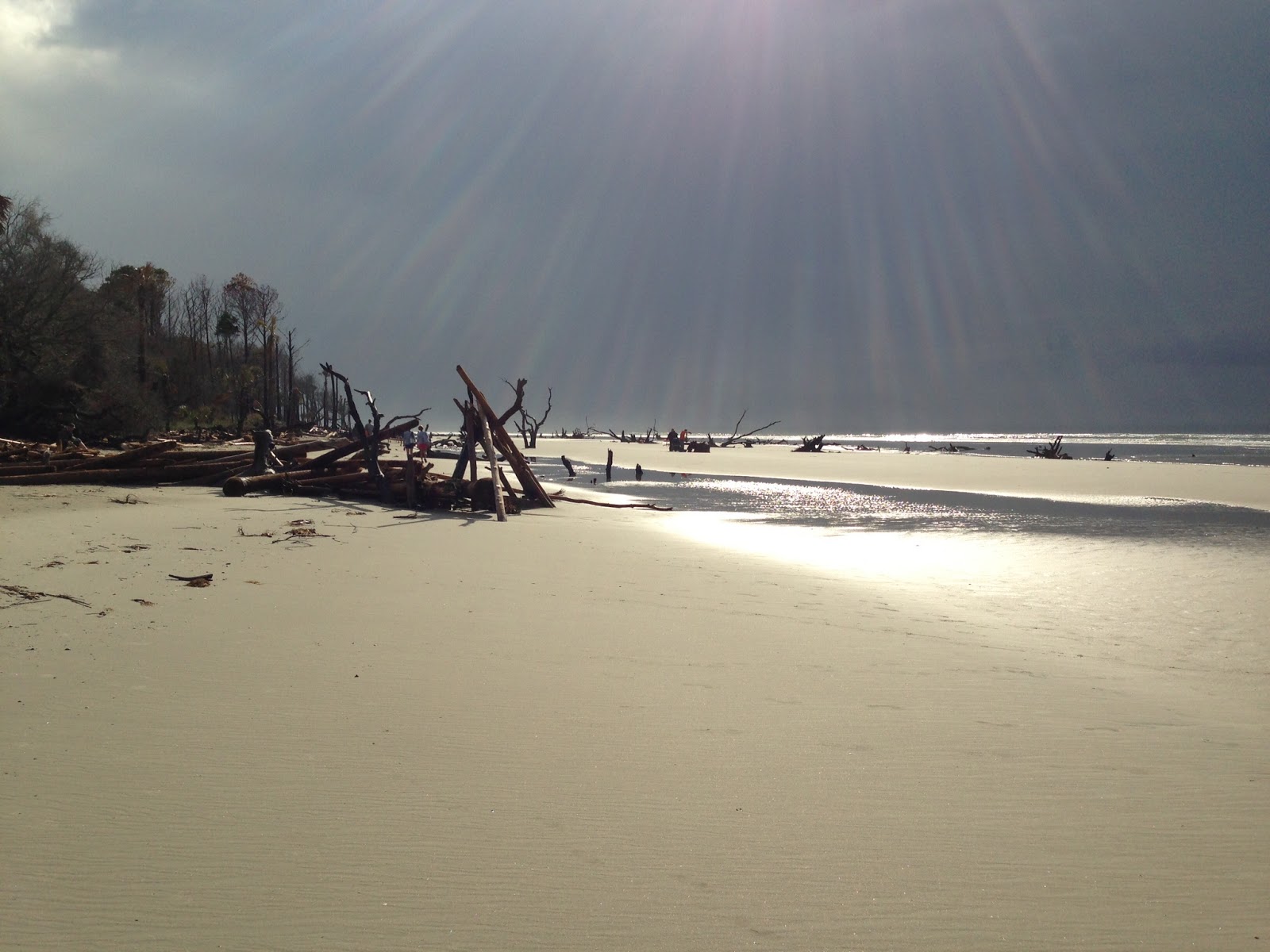 Capers Island Eco Tour at Corrine Gilbert blog