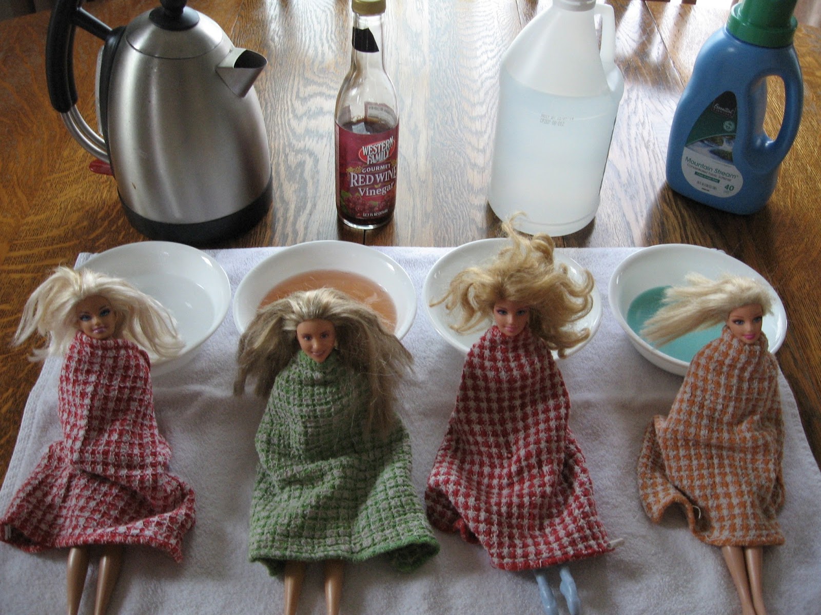 barbie a day at the salon