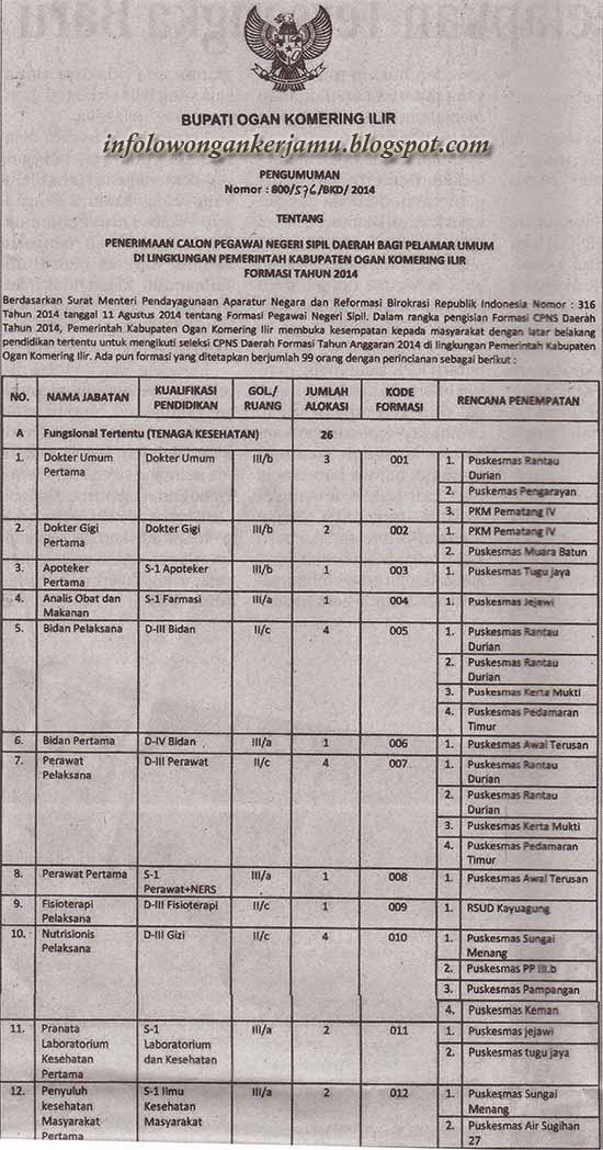 Info Lowongan Kerja Loker Cpns Pemerintah Kabupaten Oki Ogan Komering Ilir Formasi 2014