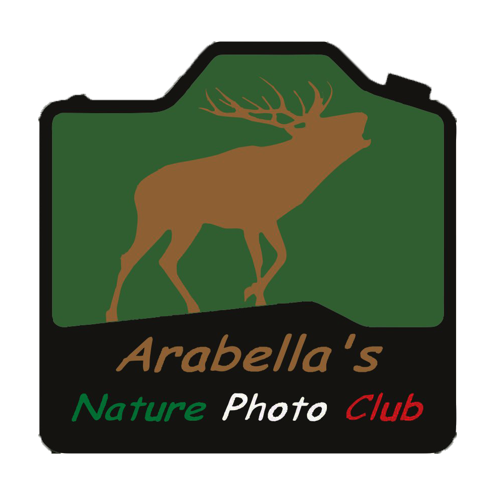 Arabella's Nature Photo Club