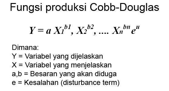 Abstraksi Ekonomi Fungsi Produksi CobbDouglas