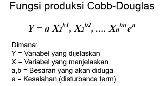 Abstraksi Ekonomi Fungsi Produksi CobbDouglas