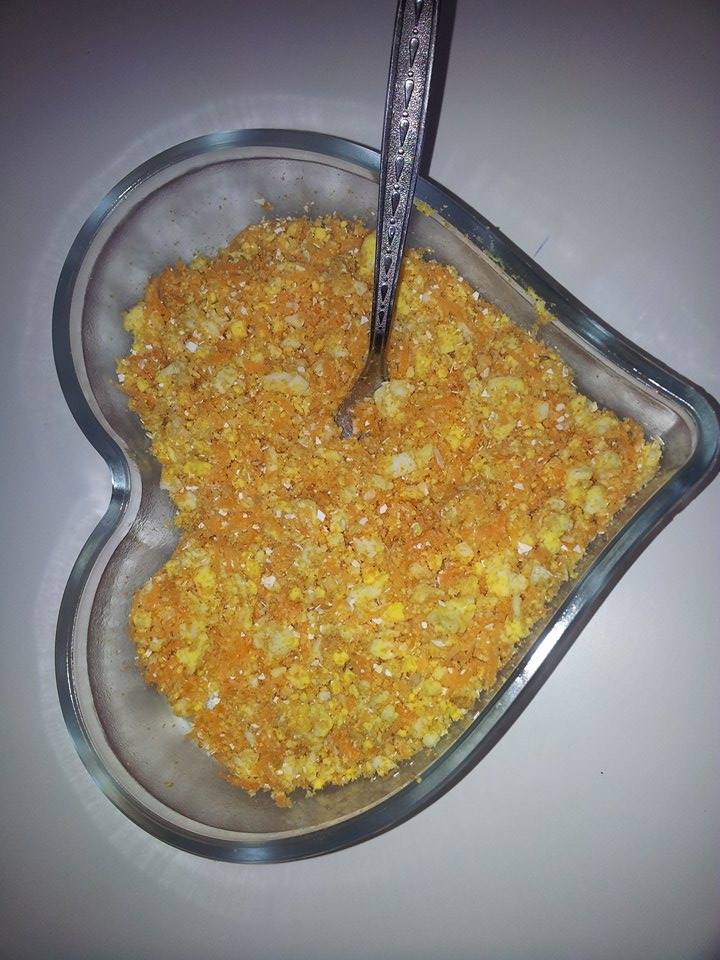 muhabbet kuslari ve forpus papaganlari icin mama nasil hazirlanir kus muhabbeti