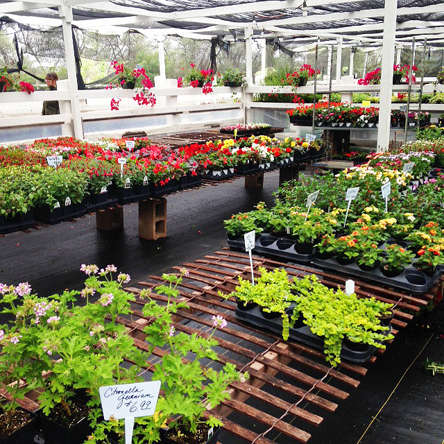 Blue Ribbon Farm Longmont 100 Things to do in Longmont, Colorado