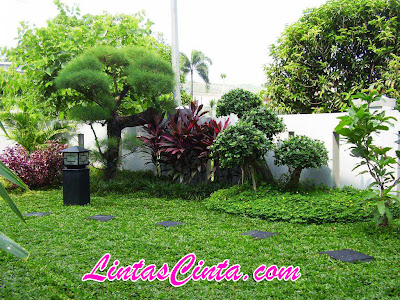 Desain Taman Rumah Minimalis 2013 Desain Taman Rumah Minimalis 2013