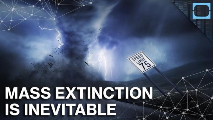 Mass Extinction