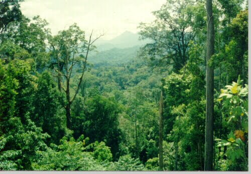 Tinggal Klick,, Semua Ada Di Sini: Hutan Lindung