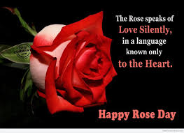 rose day photos rose day photos