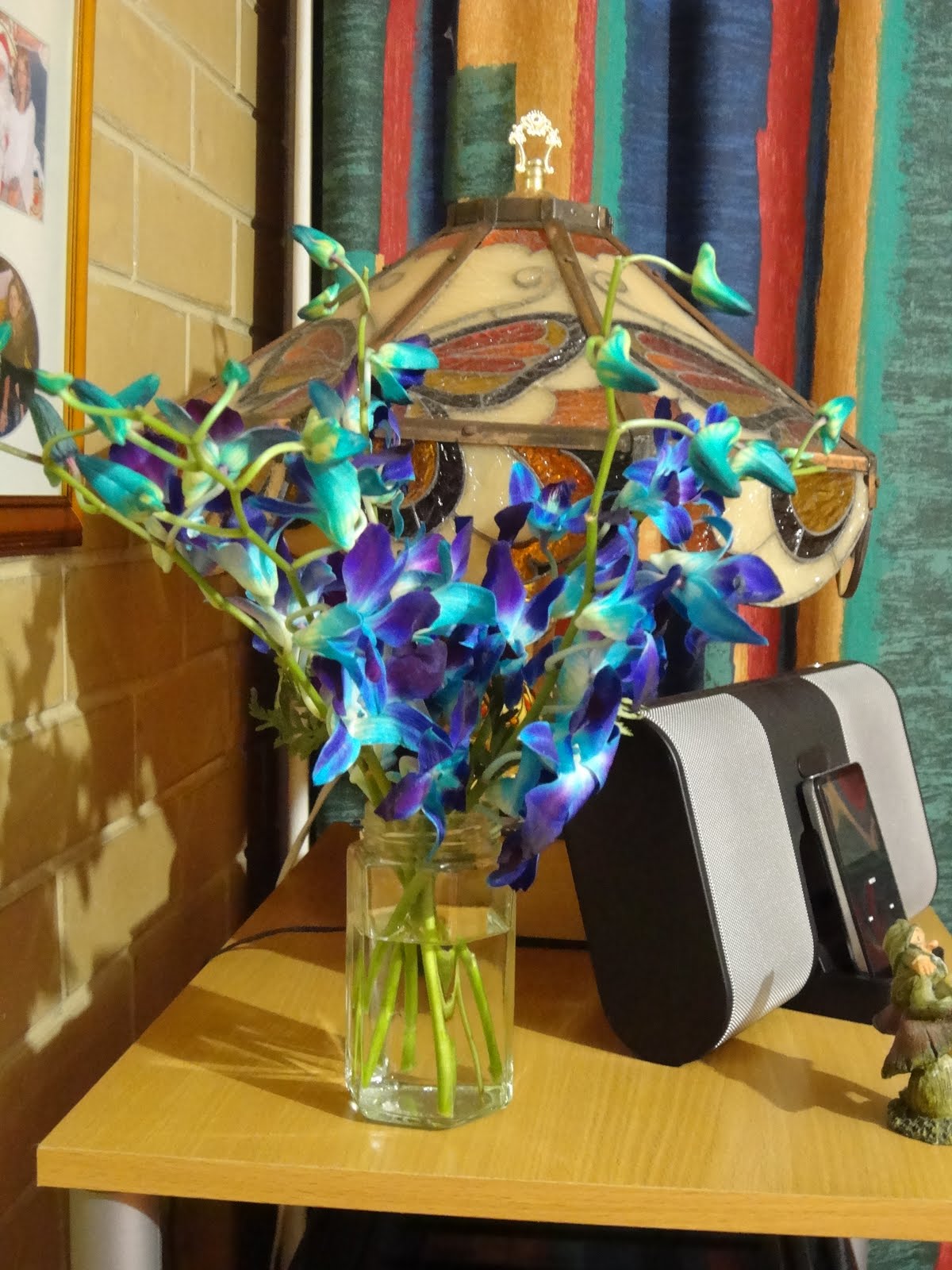 Look at what I bought in Coles