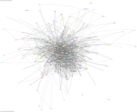 Graph of #soccnx twitter network during Social Connections IV