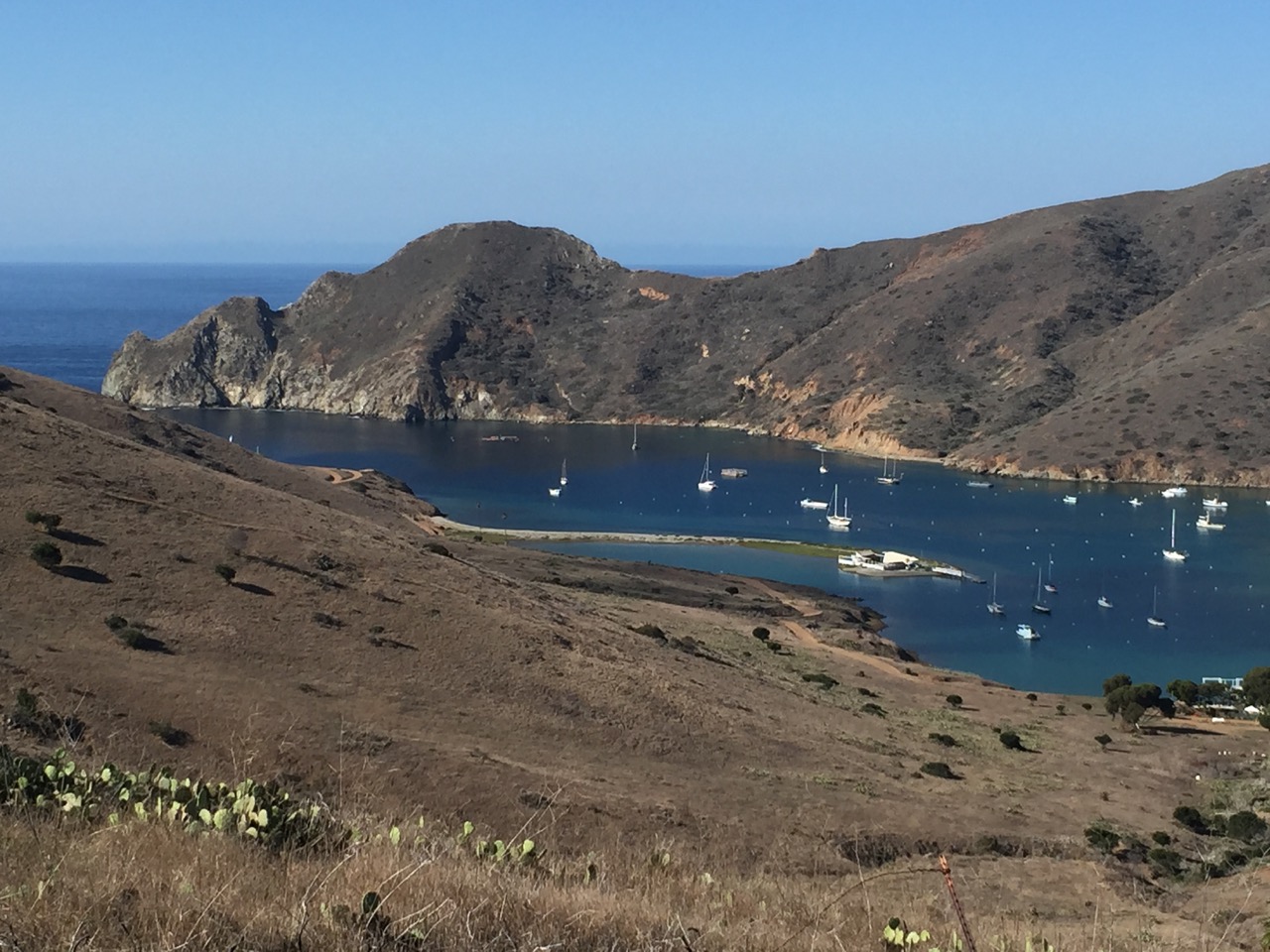 Sailing Intermezzo Catalina Island, Close Naval Encounters and Arrival