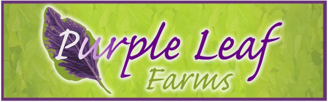 Purple Leaf Farms
