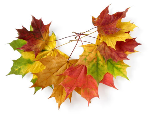 Autumn-Leaves-Decorations.jpg