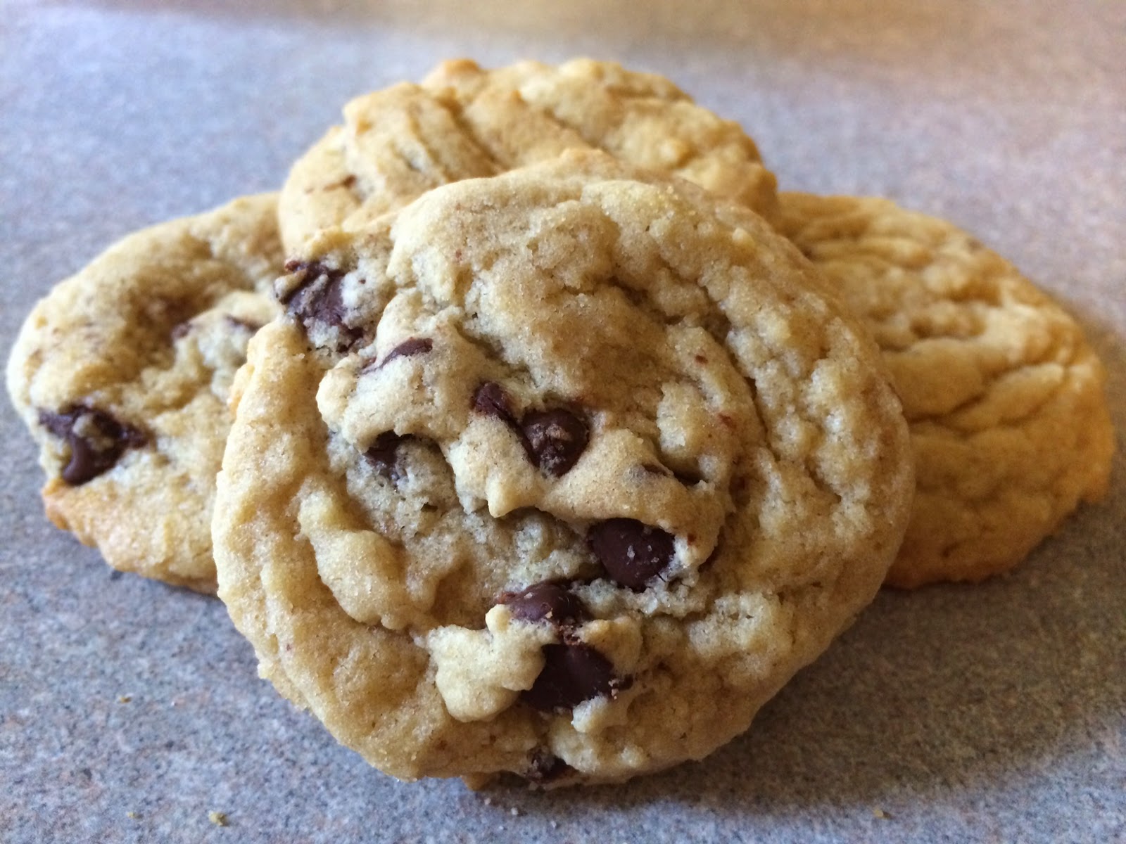 J Bird Baker Soft Batch Chocolate Chip Cookies