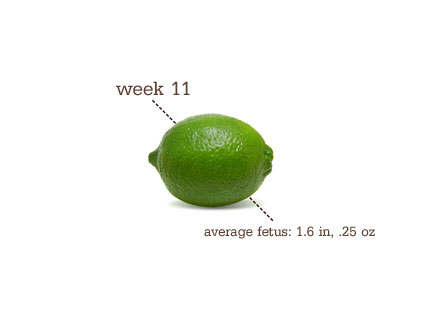 hairstyles 11 weeks pregnant