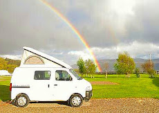 Daisy under a double rainbow ...