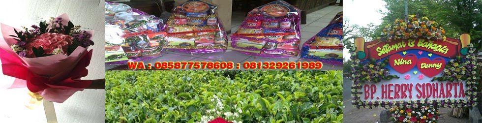 TEBESAR JUAL PARCEL LEBARAN DI JAKARTA | WA 081329261989 | 085875578608