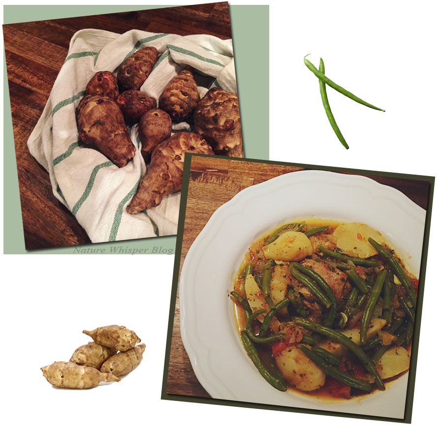 Introducing Jerusalem Artichoke Benefits Jerusalem Artichoke and