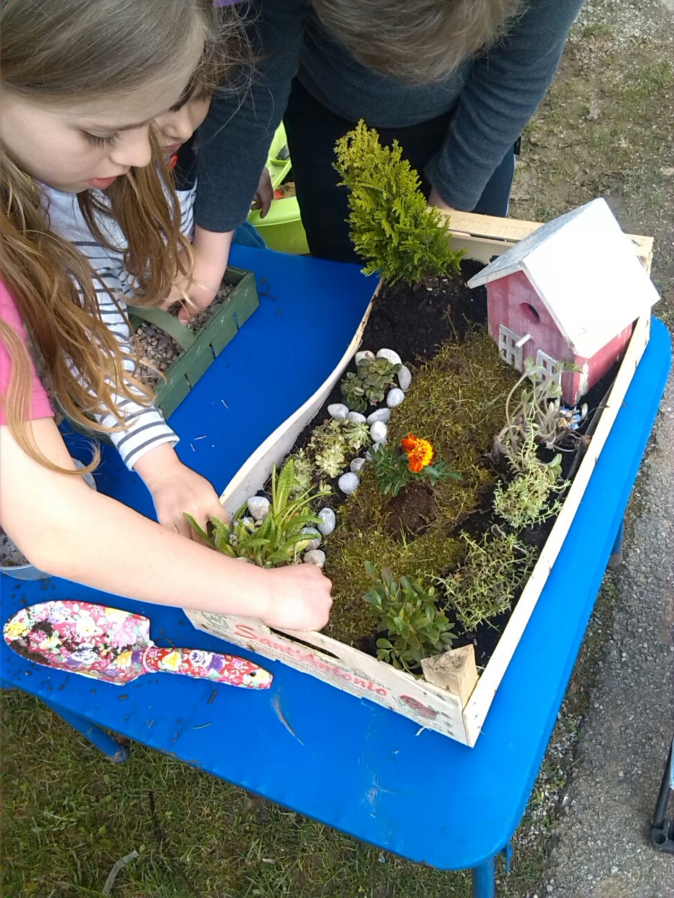 Der Bastelblog Unser Fairy Garden!