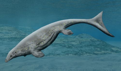 Paleoexhibit Latoplatecarpus Willistoni A New Mosasaur