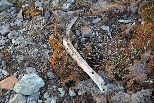 Chukotka most secret places on earth google map