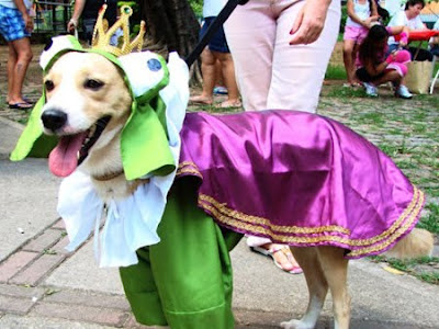 carnival carnival