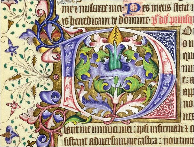 Jonathan safran foer picture