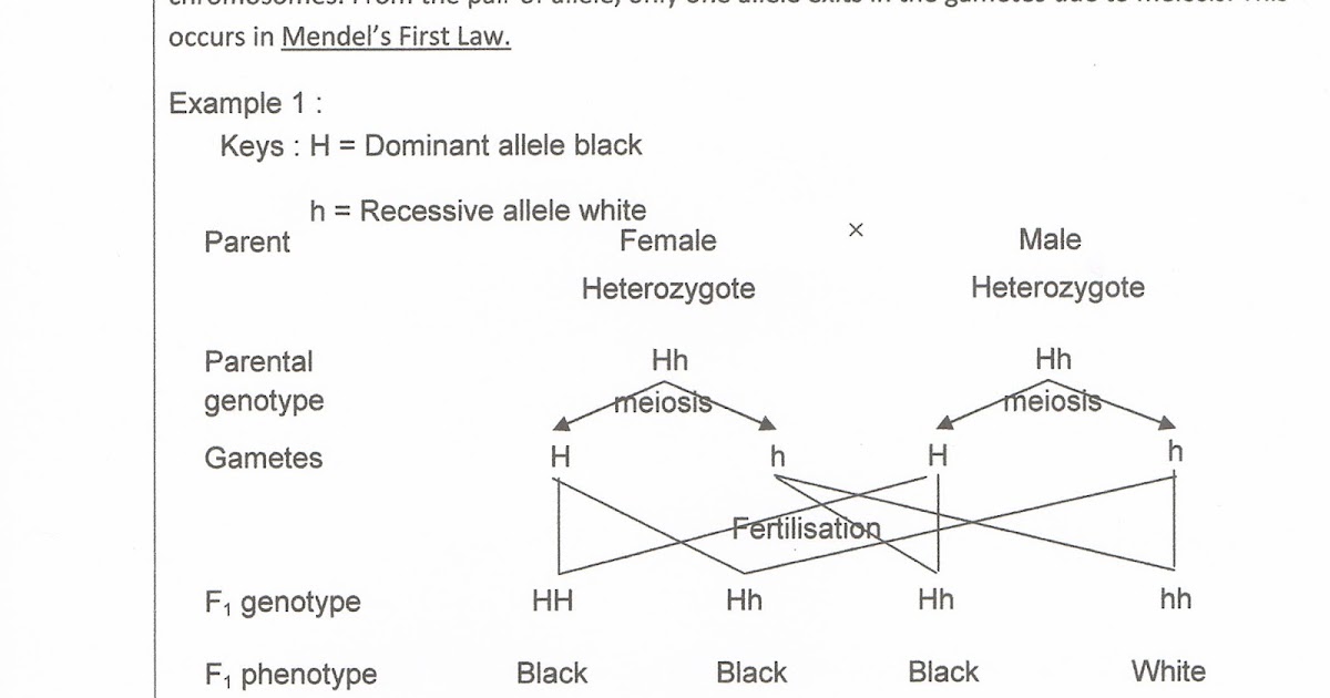 Biology form 5 chapter 3 essay question picture