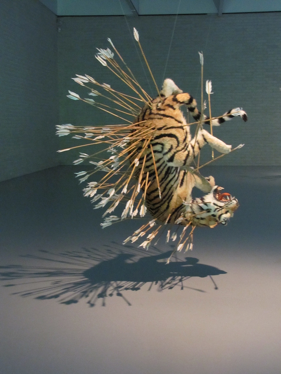 Tryout Tiger, Tiger…..