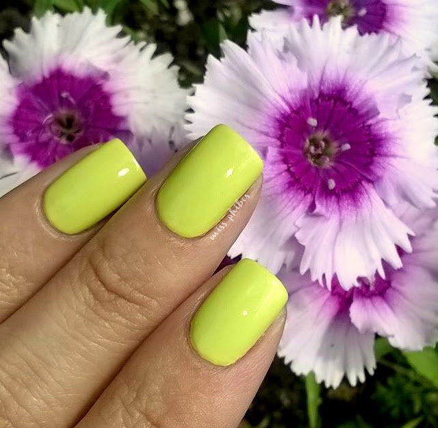 Color Show Lemon Twist