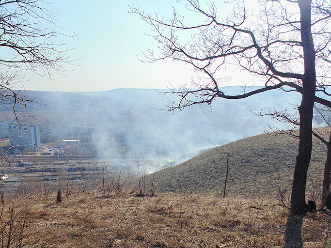 Опасность возгорания в лесах Самарской области