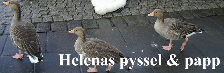 Helenas pyssel & papp