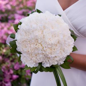 bouquet-of-white-carnations.jpg