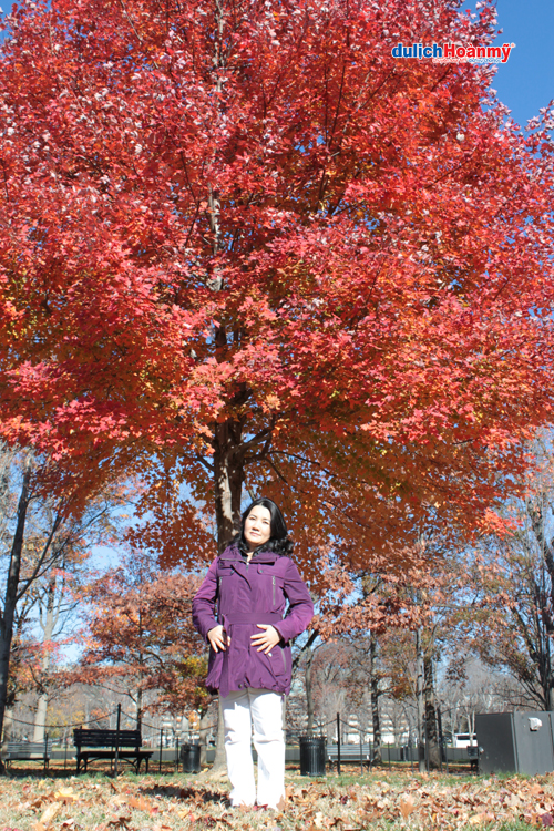 [Image: du-lich-my-em-mong-cho-mua-thu-3.jpg]