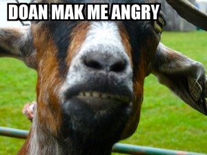 Image result for angry goat