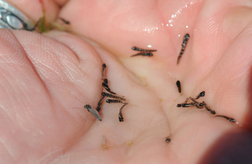 Mafia Iii Review A Story Of Revenge Beauty Hate And Imperfection